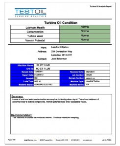 Annual Turbine Analysis Report